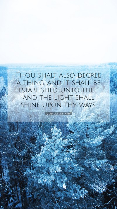 Picture 07 - Job 22:28 KJV Mobile Phone Wallpaper - Thou shalt also decree a thing, and it shall be - Mobile Bible Verse Wallpaper
