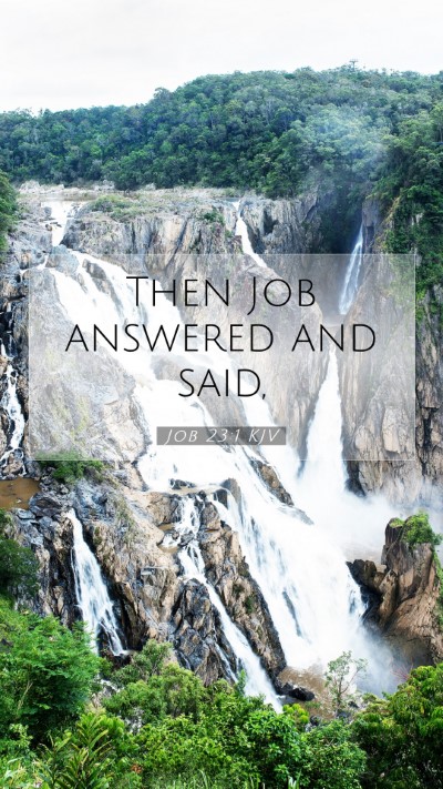 Picture 07 - Job 23:1 KJV Mobile Phone Wallpaper - Then Job answered and - Mobile Bible Verse Wallpaper