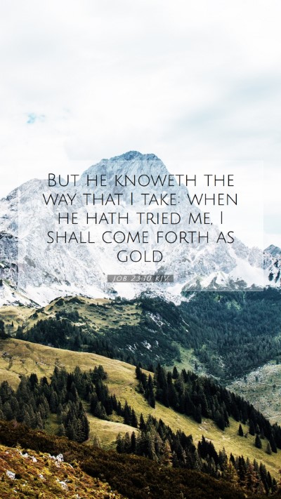 Picture 07 - Job 23:10 KJV Mobile Phone Wallpaper - But he knoweth the way that I take: when he hath - Mobile Bible Verse Wallpaper