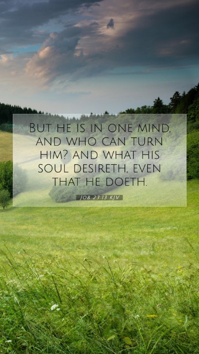 Picture 07 - Job 23:13 KJV Mobile Phone Wallpaper - But he is in one mind, and who can turn him? and - Mobile Bible Verse Wallpaper