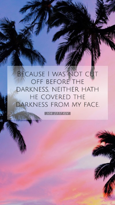 Picture 07 - Job 23:17 KJV Mobile Phone Wallpaper - Because I was not cut off before the darkness, - Mobile Bible Verse Wallpaper