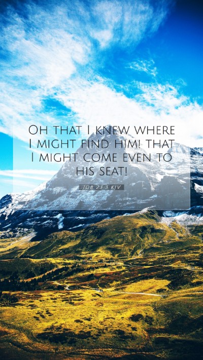 Picture 07 - Job 23:3 KJV Mobile Phone Wallpaper - Oh that I knew where I might find him! that I - Mobile Bible Verse Wallpaper