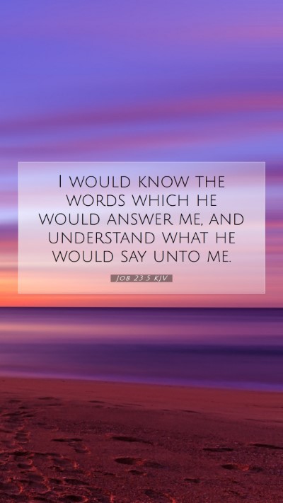 Picture 07 - Job 23:5 KJV Mobile Phone Wallpaper - I would know the words which he would answer me, - Mobile Bible Verse Wallpaper