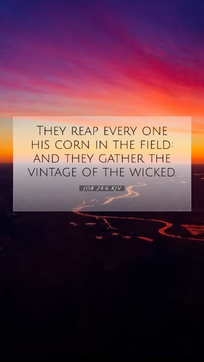 Picture 07 - Job 24:6 KJV Mobile Phone Wallpaper - They reap every one his corn in the field: and - Mobile Bible Verse Wallpaper