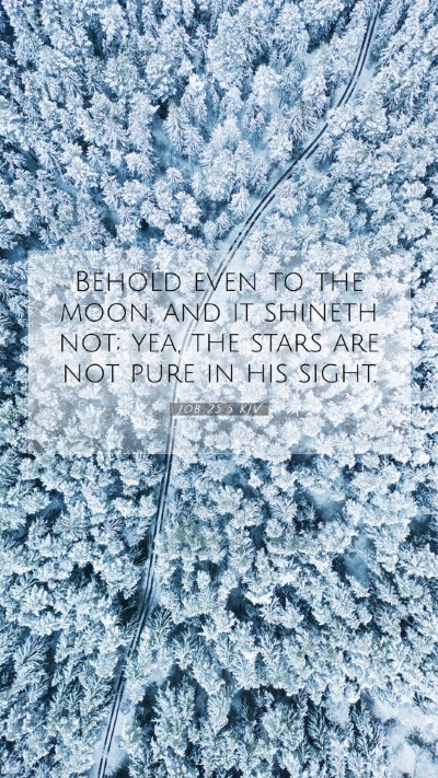Picture 07 - Job 25:5 KJV Mobile Phone Wallpaper - Behold even to the moon, and it shineth not; yea, - Mobile Bible Verse Wallpaper