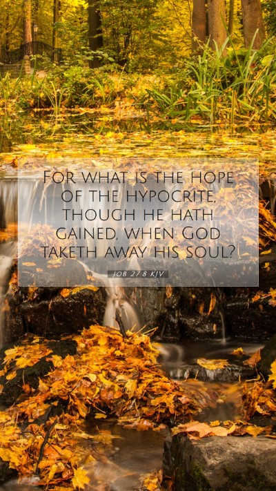 Picture 07 - Job 27:8 KJV Mobile Phone Wallpaper - For what is the hope of the hypocrite, though he - Mobile Bible Verse Wallpaper