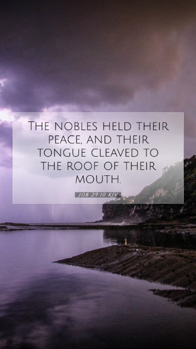 Picture 07 - Job 29:10 KJV Mobile Phone Wallpaper - The nobles held their peace, and their tongue - Mobile Bible Verse Wallpaper