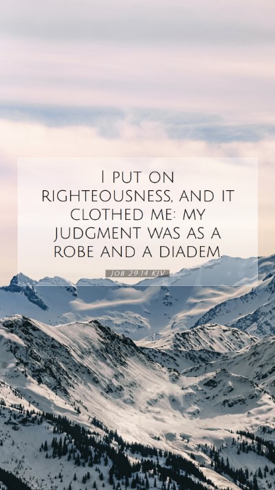 Picture 07 - Job 29:14 KJV Mobile Phone Wallpaper - I put on righteousness, and it clothed me: my - Mobile Bible Verse Wallpaper