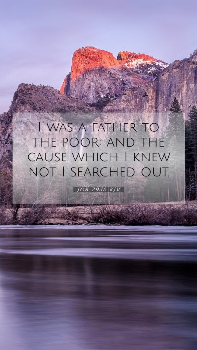 Picture 07 - Job 29:16 KJV Mobile Phone Wallpaper - I was a father to the poor: and the cause which I - Mobile Bible Verse Wallpaper
