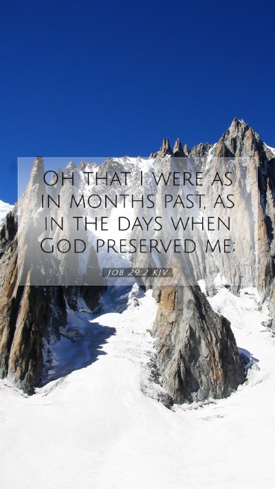 Picture 07 - Job 29:2 KJV Mobile Phone Wallpaper - Oh that I were as in months past, as in the days - Mobile Bible Verse Wallpaper
