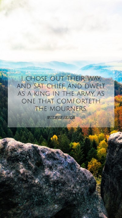 Picture 07 - Job 29:25 KJV Mobile Phone Wallpaper - I chose out their way, and sat chief, and dwelt - Mobile Bible Verse Wallpaper