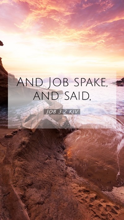 Picture 07 - Job 3:2 KJV Mobile Phone Wallpaper - And Job spake, and - Mobile Bible Verse Wallpaper