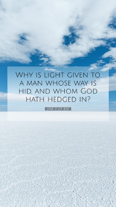 Picture 07 - Job 3:23 KJV Mobile Phone Wallpaper - Why is light given to a man whose way is hid, and - Mobile Bible Verse Wallpaper