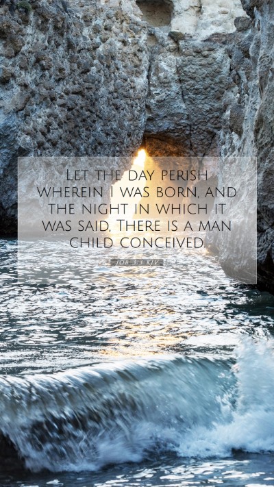 Picture 07 - Job 3:3 KJV Mobile Phone Wallpaper - Let the day perish wherein I was born, and the - Mobile Bible Verse Wallpaper