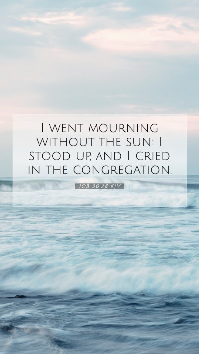 Picture 07 - Job 30:28 KJV Mobile Phone Wallpaper - I went mourning without the sun: I stood up, and - Mobile Bible Verse Wallpaper