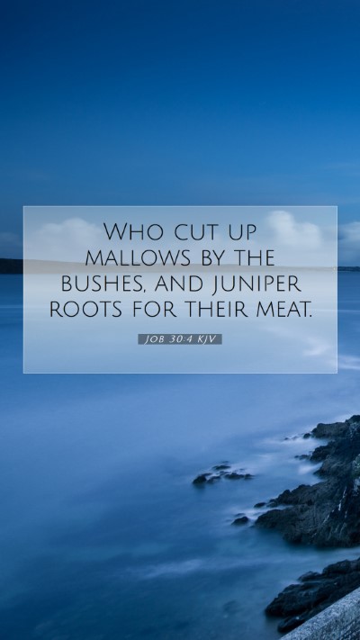 Picture 07 - Job 30:4 KJV Mobile Phone Wallpaper - Who cut up mallows by the bushes, and juniper - Mobile Bible Verse Wallpaper