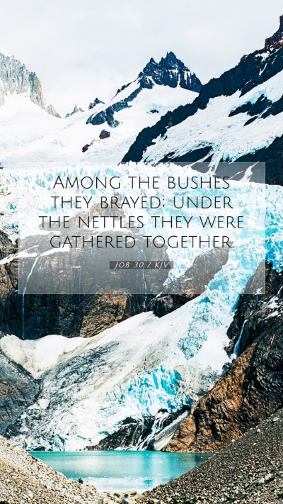 Picture 07 - Job 30:7 KJV Mobile Phone Wallpaper - Among the bushes they brayed; under the nettles - Mobile Bible Verse Wallpaper