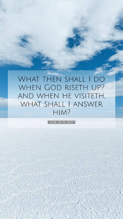 Picture 07 - Job 31:14 KJV Mobile Phone Wallpaper - What then shall I do when God riseth up? and when - Mobile Bible Verse Wallpaper