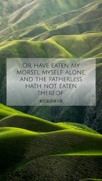 Picture 07 - Job 31:17 KJV Mobile Phone Wallpaper - Or have eaten my morsel myself alone, and the - Mobile Bible Verse Wallpaper