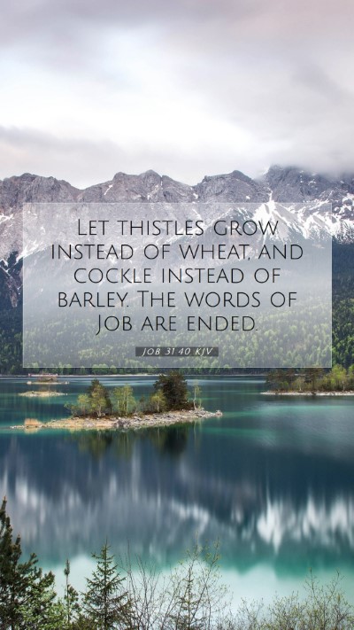 Picture 07 - Job 31:40 KJV Mobile Phone Wallpaper - Let thistles grow instead of wheat, and cockle - Mobile Bible Verse Wallpaper