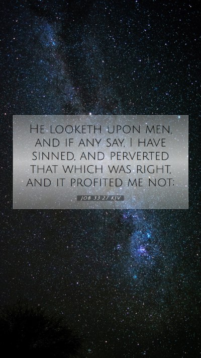 Picture 07 - Job 33:27 KJV Mobile Phone Wallpaper - He looketh upon men, and if any say, I have - Mobile Bible Verse Wallpaper