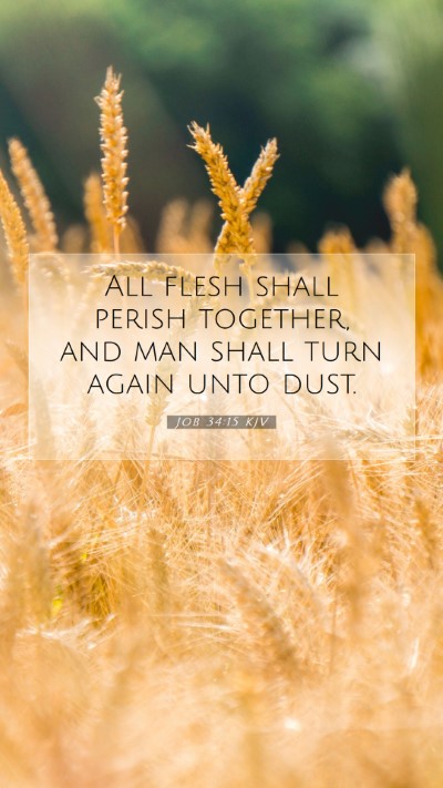 Picture 07 - Job 34:15 KJV Mobile Phone Wallpaper - All flesh shall perish together, and man shall - Mobile Bible Verse Wallpaper