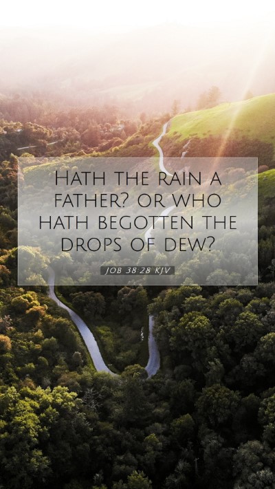 Picture 07 - Job 38:28 KJV Mobile Phone Wallpaper - Hath the rain a father? or who hath begotten the - Mobile Bible Verse Wallpaper