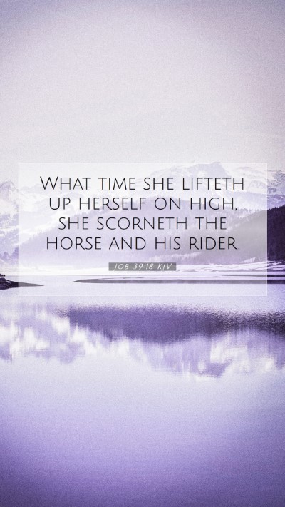 Picture 07 - Job 39:18 KJV Mobile Phone Wallpaper - What time she lifteth up herself on high, she - Mobile Bible Verse Wallpaper