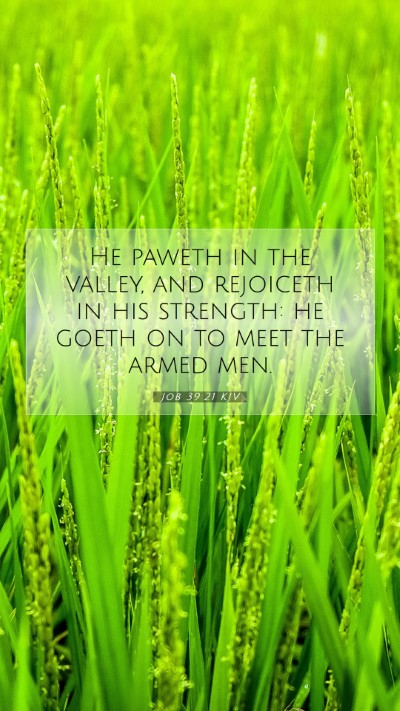 Picture 07 - Job 39:21 KJV Mobile Phone Wallpaper - He paweth in the valley, and rejoiceth in his - Mobile Bible Verse Wallpaper