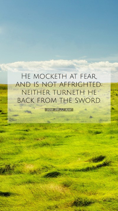 Picture 07 - Job 39:22 KJV Mobile Phone Wallpaper - He mocketh at fear, and is not affrighted; - Mobile Bible Verse Wallpaper