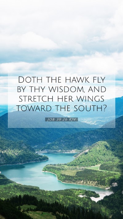 Picture 07 - Job 39:26 KJV Mobile Phone Wallpaper - Doth the hawk fly by thy wisdom, and stretch her - Mobile Bible Verse Wallpaper