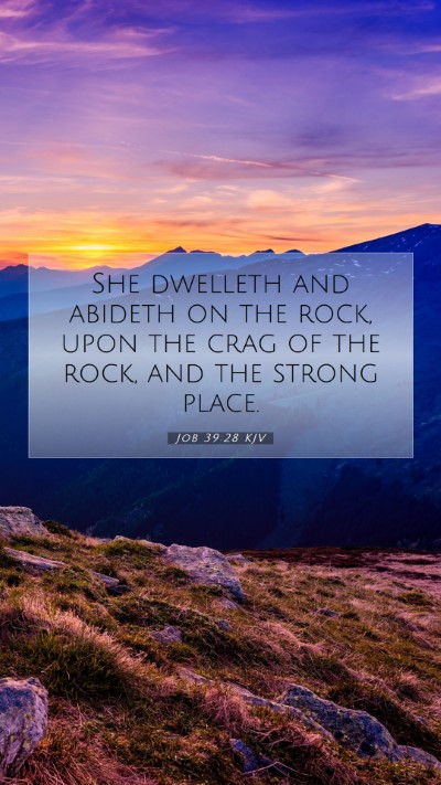 Picture 07 - Job 39:28 KJV Mobile Phone Wallpaper - She dwelleth and abideth on the rock, upon the - Mobile Bible Verse Wallpaper