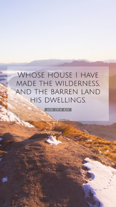 Picture 07 - Job 39:6 KJV Mobile Phone Wallpaper - Whose house I have made the wilderness, and the - Mobile Bible Verse Wallpaper
