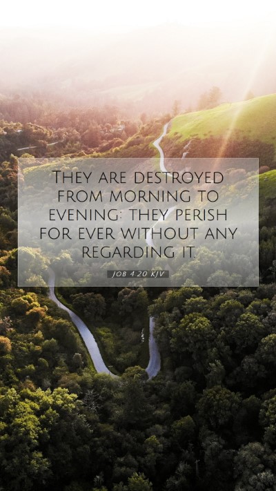 Picture 07 - Job 4:20 KJV Mobile Phone Wallpaper - They are destroyed from morning to evening: they - Mobile Bible Verse Wallpaper