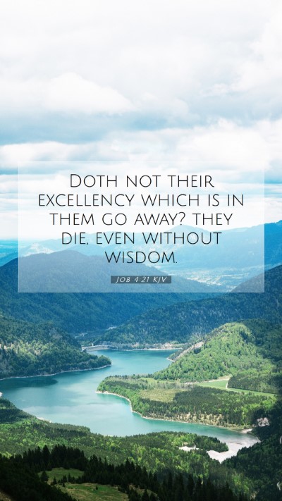 Picture 07 - Job 4:21 KJV Mobile Phone Wallpaper - Doth not their excellency which is in them go - Mobile Bible Verse Wallpaper
