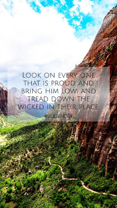 Picture 07 - Job 40:12 KJV Mobile Phone Wallpaper - Look on every one that is proud, and bring him - Mobile Bible Verse Wallpaper