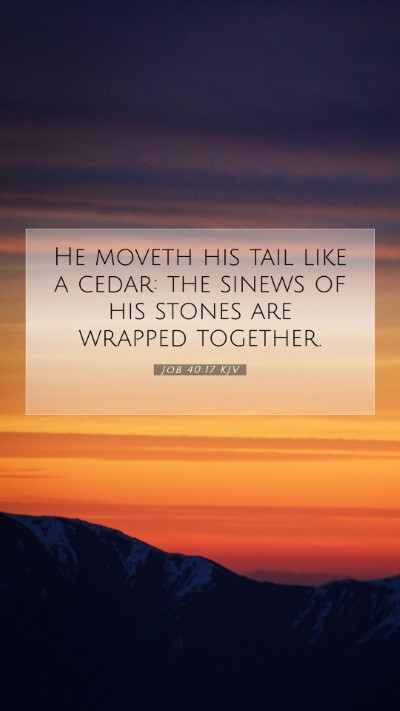 Picture 07 - Job 40:17 KJV Mobile Phone Wallpaper - He moveth his tail like a cedar: the sinews of - Mobile Bible Verse Wallpaper