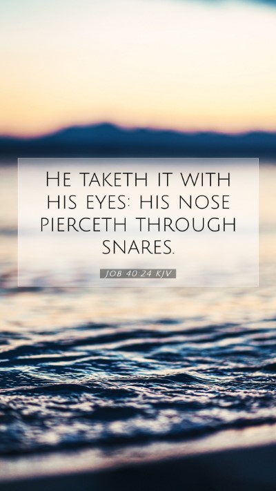 Picture 07 - Job 40:24 KJV Mobile Phone Wallpaper - He taketh it with his eyes: his nose pierceth - Mobile Bible Verse Wallpaper