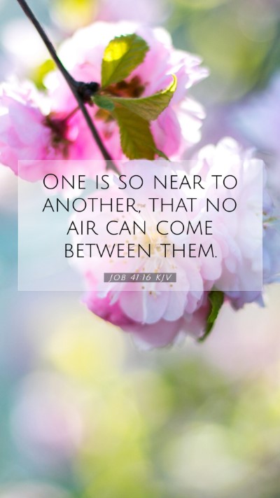 Picture 07 - Job 41:16 KJV Mobile Phone Wallpaper - One is so near to another, that no air can come - Mobile Bible Verse Wallpaper