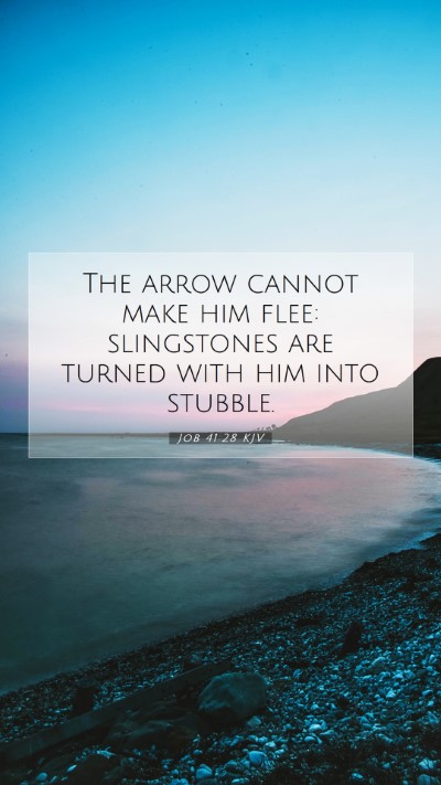 Picture 07 - Job 41:28 KJV Mobile Phone Wallpaper - The arrow cannot make him flee: slingstones are - Mobile Bible Verse Wallpaper