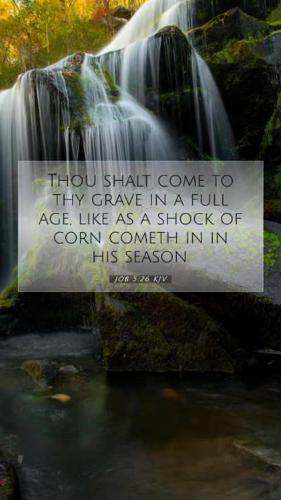 Picture 07 - Job 5:26 KJV Mobile Phone Wallpaper - Thou shalt come to thy grave in a full age, like - Mobile Bible Verse Wallpaper