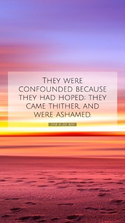 Picture 07 - Job 6:20 KJV Mobile Phone Wallpaper - They were confounded because they had hoped; they - Mobile Bible Verse Wallpaper