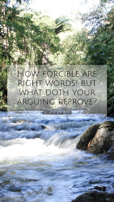 Picture 07 - Job 6:25 KJV Mobile Phone Wallpaper - How forcible are right words! but what doth your - Mobile Bible Verse Wallpaper