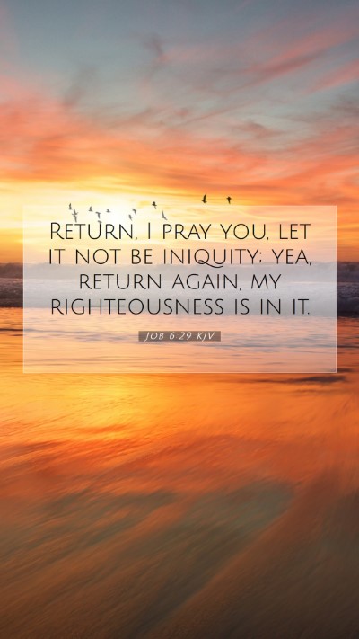 Picture 07 - Job 6:29 KJV Mobile Phone Wallpaper - Return, I pray you, let it not be iniquity; yea, - Mobile Bible Verse Wallpaper