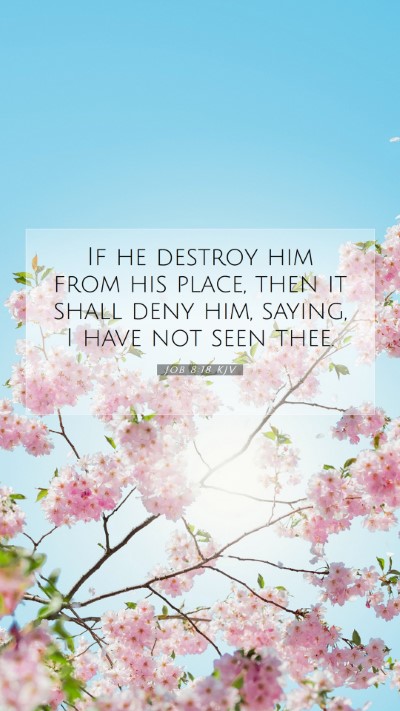 Picture 07 - Job 8:18 KJV Mobile Phone Wallpaper - If he destroy him from his place, then it shall - Mobile Bible Verse Wallpaper