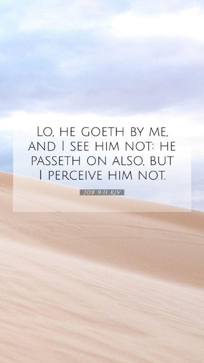 Picture 07 - Job 9:11 KJV Mobile Phone Wallpaper - Lo, he goeth by me, and I see him not: he passeth - Mobile Bible Verse Wallpaper