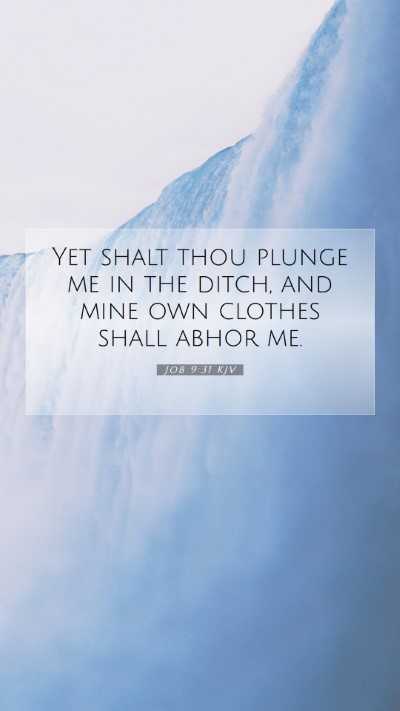 Picture 07 - Job 9:31 KJV Mobile Phone Wallpaper - Yet shalt thou plunge me in the ditch, and mine - Mobile Bible Verse Wallpaper