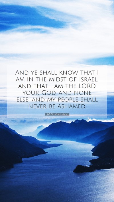 Picture 07 - Joel 2:27 KJV Mobile Phone Wallpaper - And ye shall know that I am in the midst of - Mobile Bible Verse Wallpaper