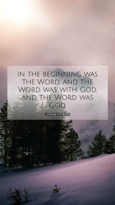 Picture 07 - John 1:1 KJV Mobile Phone Wallpaper - In the beginning was the Word, and the Word was - Mobile Bible Verse Wallpaper