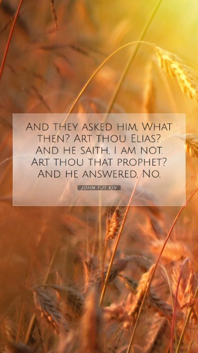 Picture 07 - John 1:21 KJV Mobile Phone Wallpaper - And they asked him, What then? Art thou Elias? - Mobile Bible Verse Wallpaper